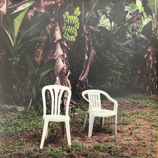 Bad Bunny : Debí Tirar MáS Fotos (2xLP, Album, Ltd, Red)